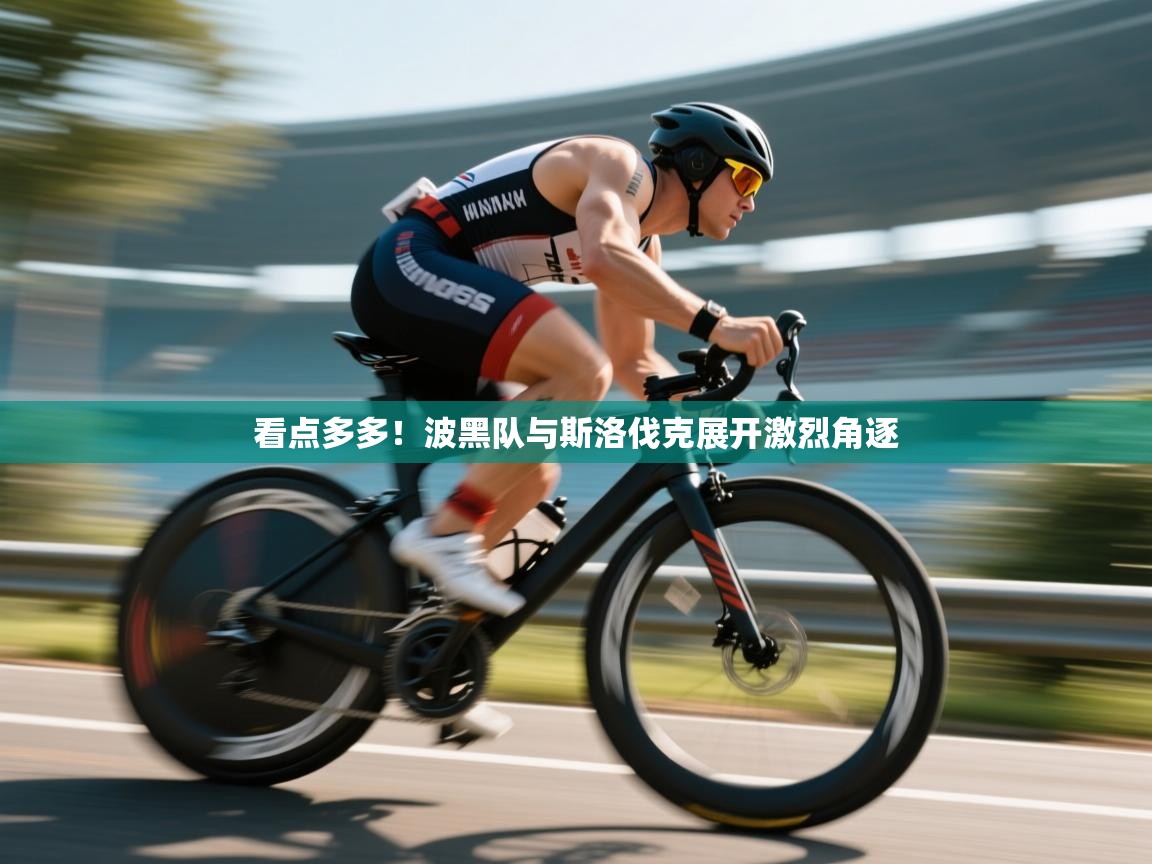 看点多多!波黑队与斯洛伐克展开激烈角逐 第1张