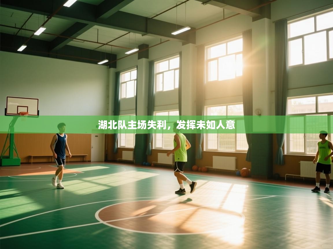 湖北队主场失利，发挥未如人意  第1张