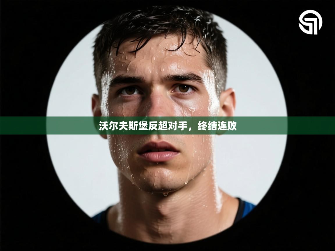 沃尔夫斯堡反超对手，终结连败  第2张