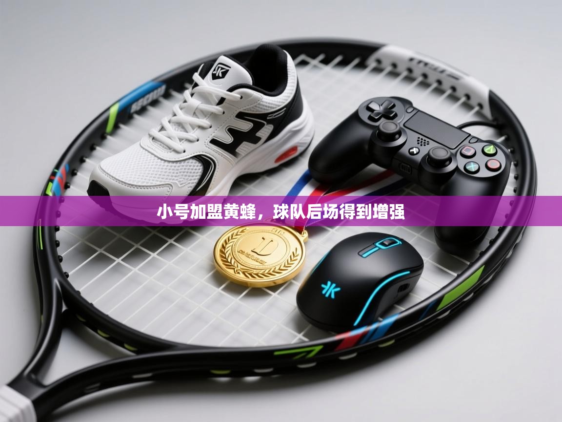 小号加盟黄蜂,球队后场得到增强 第2张